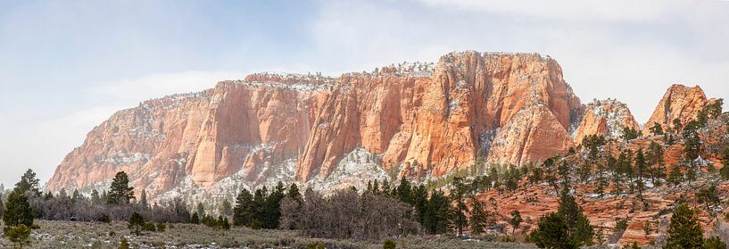 Imposant rotsplateau in Zion National Park van Juriaan Wossink