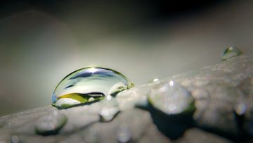 In balance by Jan van der Knaap