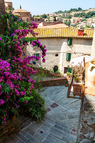 Frans bloemenstraatje