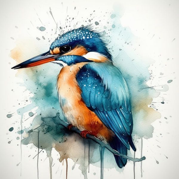 Kingfisher 5 by Imagine