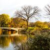 Herfst in Central Park bij de Bow Bridge van Marco Schep