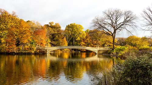 Herfst in Central Park bij de Bow Bridge