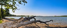 Lagoon in Lietzow on the island of Rügen, natural beach by GH Foto & Artdesign