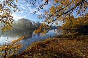 schöne Herbstfarben an einem nebligen Morgen