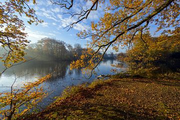 beautiful autumn colours during a misty morning by Remco Van Daalen