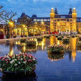Tulpen en het Rijksmuseum bij avond gezien.  von Jean-Paul Opperman
