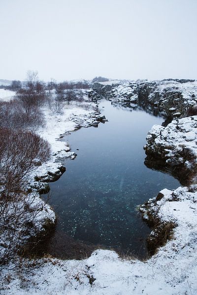 Wishing pond by Nicoline Rodenburg