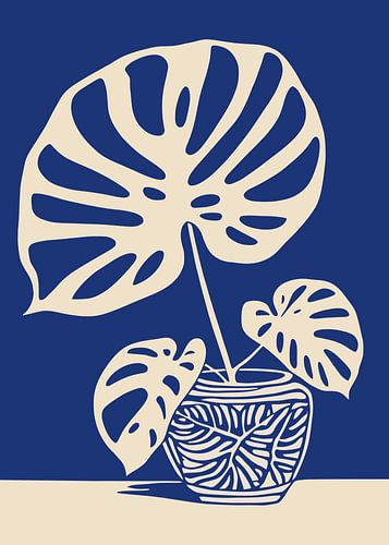 Monstera en pot Indigo