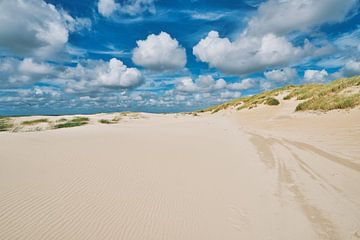 North Sea beach with sand structures after a storm by eric van der eijk
