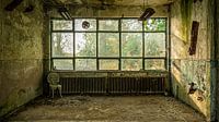 The world in George Orwell's 1984? by Anton Steenbergen thumbnail
