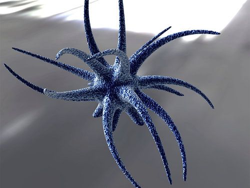 Bacillus van Eric Nagel