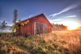 Loftahammar nature octobre 2025 3 sur Marc Hollenberg