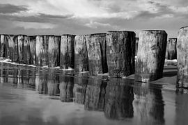 breakwaters in black and white Oostkapelle zeeland by anne droogsma