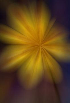 Moderne Blume Gelbe Dahlie von Maneschijn FOTO