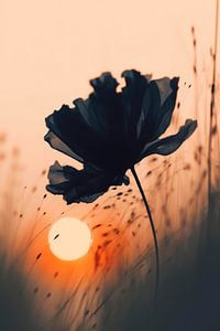 Before Sunset No 3