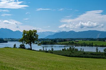 Uitzicht op de Alpen van Mike Frinking