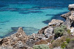 Blick hinunter in die Little Salmon Bay