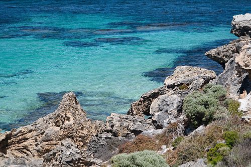 Uitzicht op Little Salmon Bay