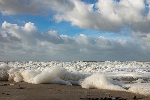 Strand Zeeland Nordsee