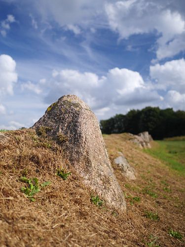 Langdolmen Lindeskov, Ørbæk, Denmark