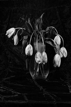 Stilleven van Tulpen in glazen vaas van Roland de Zeeuw fotografie