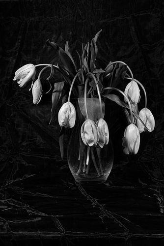 Stillleben von Tulpen in Glasvase