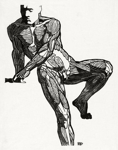 anatomie man met spieren, Reijer Stolk