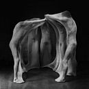 Verbandgaas by Hans Heemsbergen thumbnail