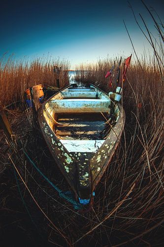 Boat hidden in reeds