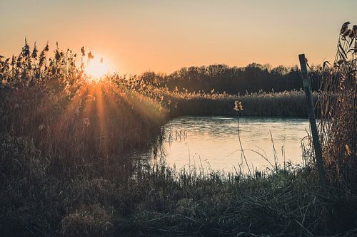 Sunrise at the lake
