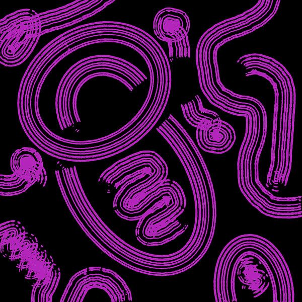 Circle snake rose par nachtfarbenart