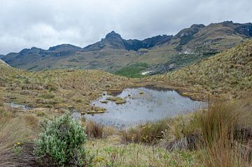 Parque Nacional El Cajas by Richard Wareham