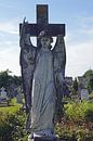 Oude Rath Begraafplaats in Ierland van Babetts Bildergalerie thumbnail