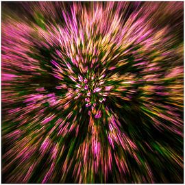 Puur heide van Saskia Jans