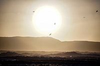 sun birds and waves