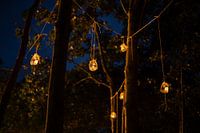 les lumières des elfes dans la forêt