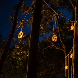 les lumières des elfes dans la forêt sur Made By Jane
