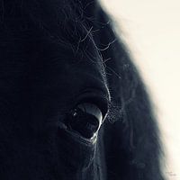 Bright eye