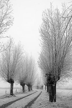 ochtend in de winter van Hans van der Grient