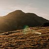 Arthurs Seat Edinburgh bei Sonnenaufgang von Manon Visser