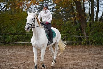 Entraînement avec le cheval blanc sur un terrain d'équitation en automne