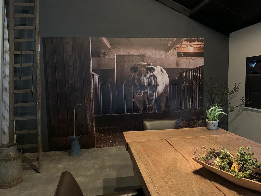 Stier im alten Stall  von Danai Kox Kanters 