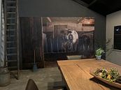 Klantfoto: Stier in oude stal van Danai Kox Kanters