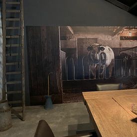 Customer photo: Bull in old stable by Danai Kox Kanters