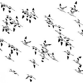 A swarm of Kluten by Karin Bijpost
