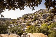 Landschap met rotsen in Andalusië in Spanje van Evelien Oerlemans thumbnail