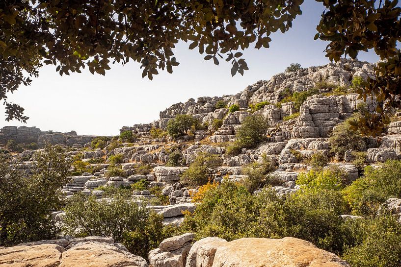 Landschap met rotsen in Andalusië in Spanje van Evelien Oerlemans