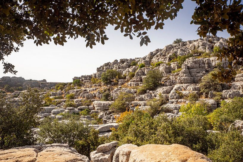 Landscape with rocks in Andalusia in Spain by Evelien Oerlemans