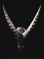 Capricorn on black background