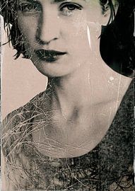 tears by sophie etchart